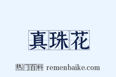 真珠花是什么意思的图片